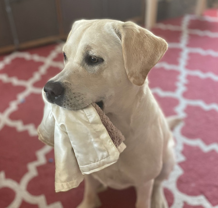 Linus