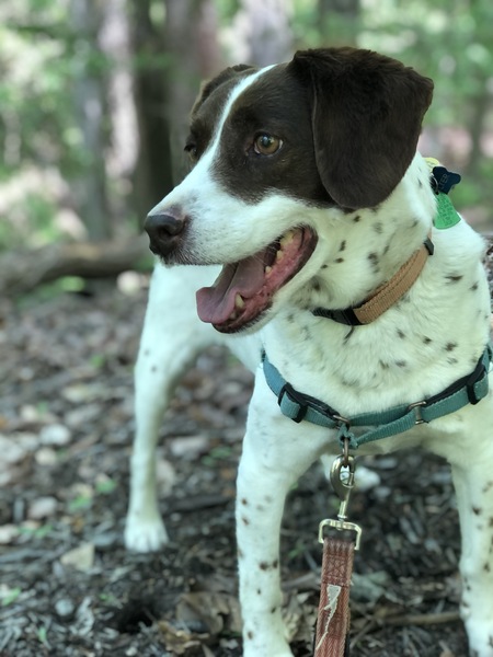 Walter 