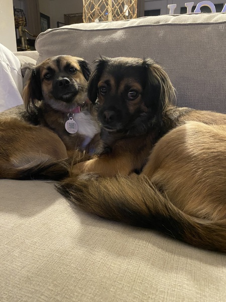 Buster and Bella