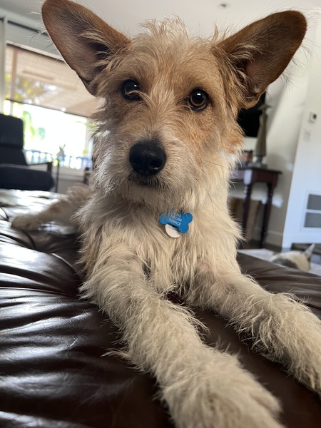 Benny 