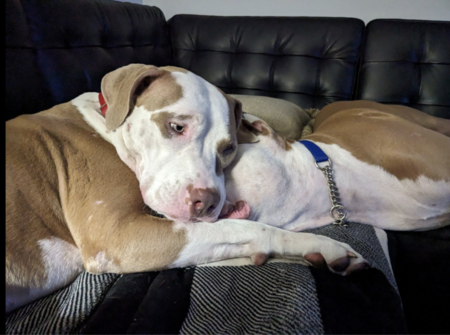 Mimi and Asher 