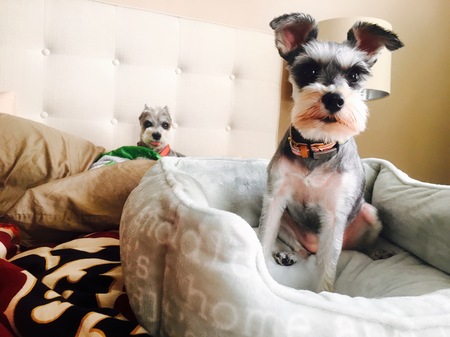 "Bizzy" Lizzy and LillyPad "Crazy Girl"