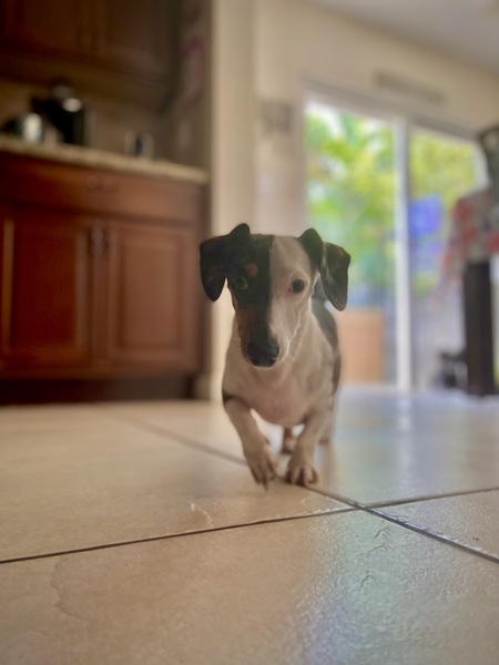 Walter