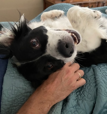 Buddy