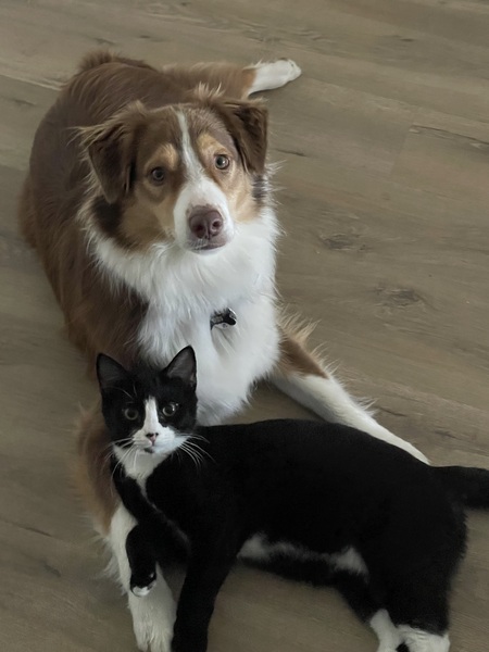 Obi and Matt