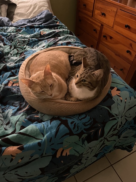 Reba & Blake (aka Toodles)