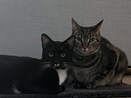 Lil bud & Flip Flop 