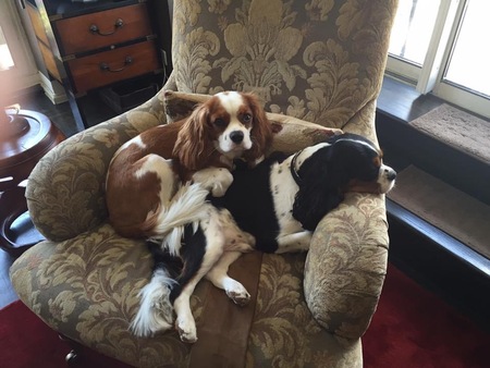 Smudge & Tre