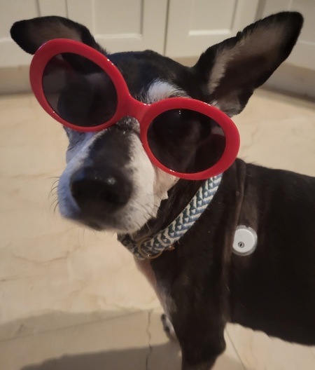 Louie