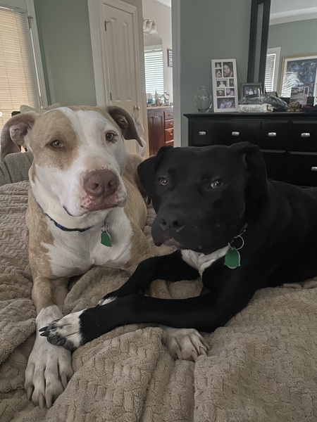 Charlie & Ellie