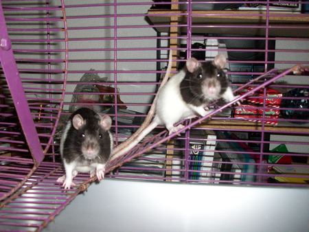 Mary and Dot  