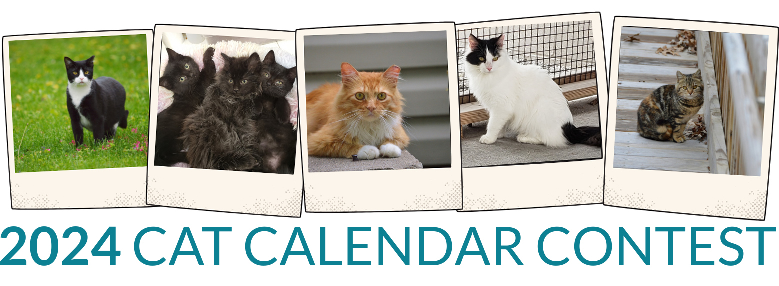 Free Cat Calendar Contest 2025 Riki Verene