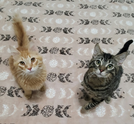 Azrael and Ezra 