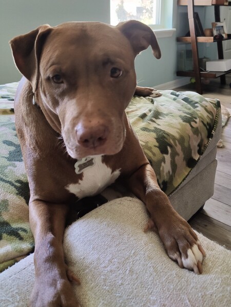 Jax