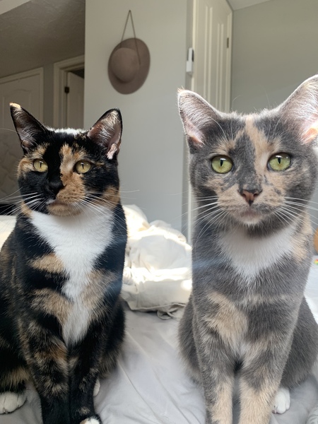 Cleo and Sage