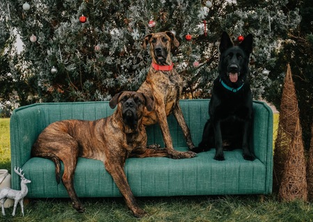 Zeus, Hera & Athena
