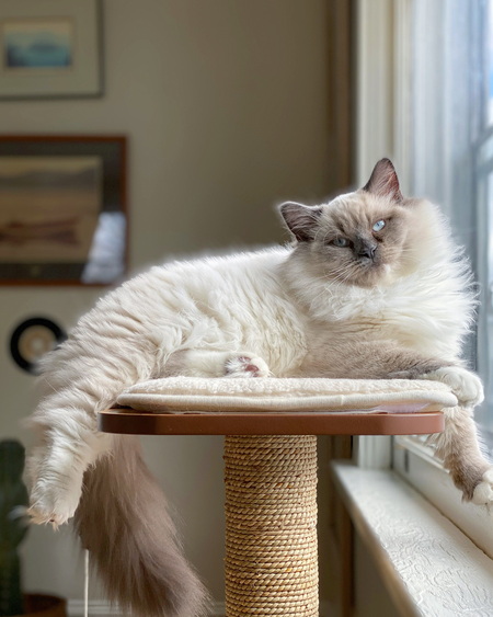 Luna