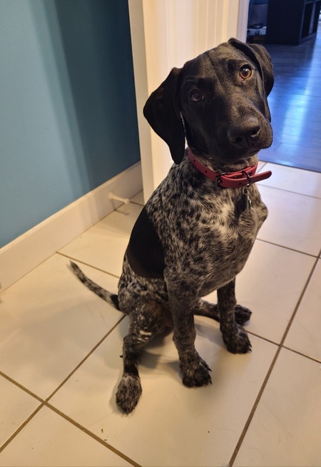 Maggie