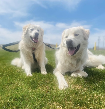 Nova and Loki