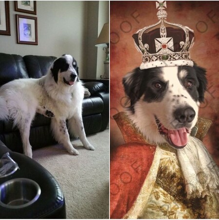Charlie (aka King Charlie)