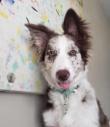 Maggie