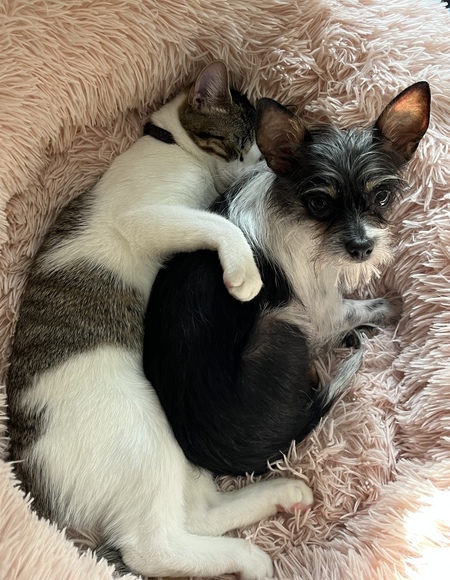 Charlie and Moe