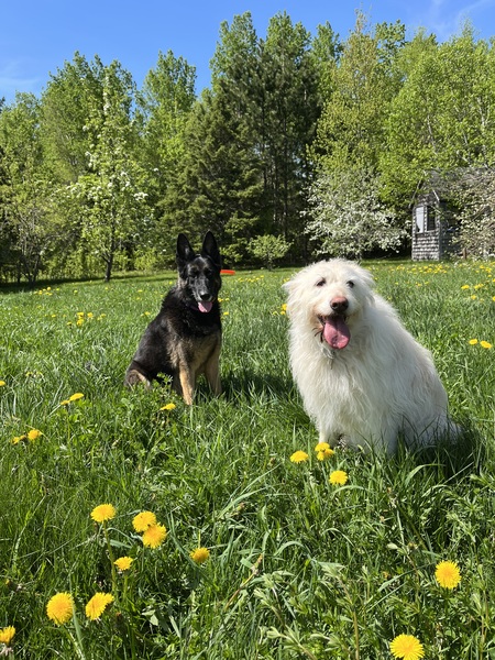 Roxy and Chloé
