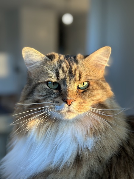 Leeloo