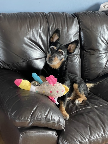 Lexie