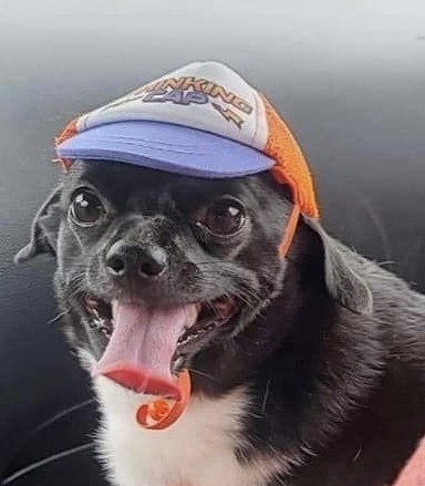 Oscar