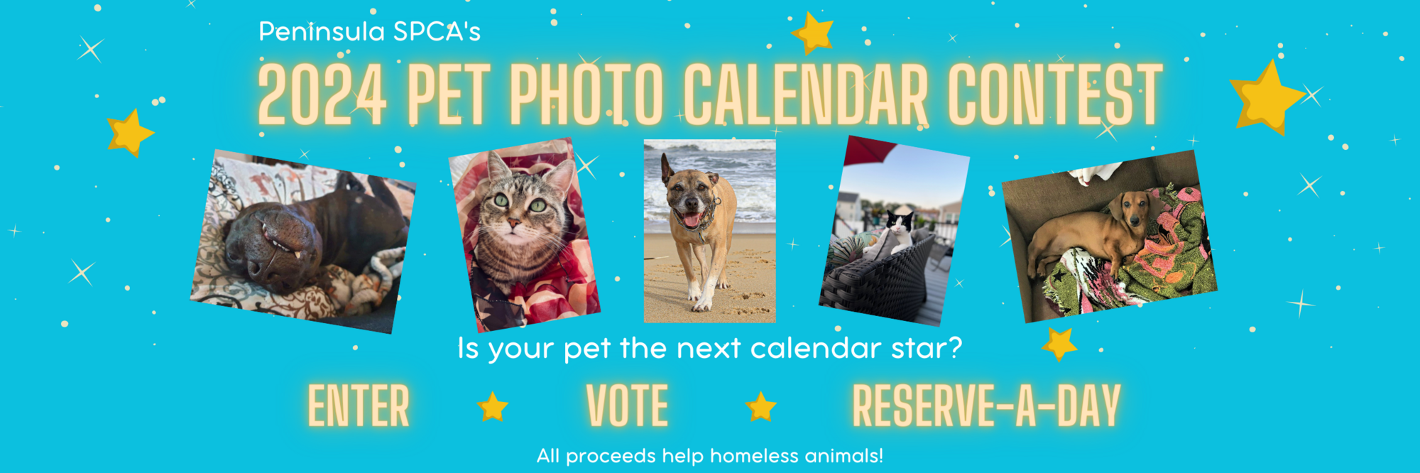 Peninsula SPCA 2024 Peninsula SPCA Calendar Photo Contest