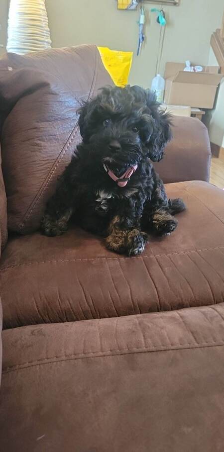 Sophie