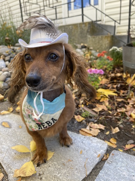 Reba McEntiny
