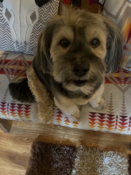 MacDuff 