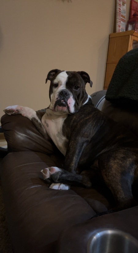 Gus