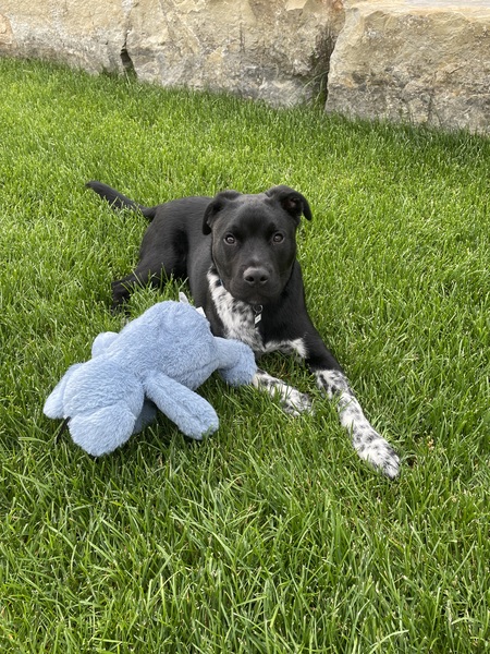 Tucker