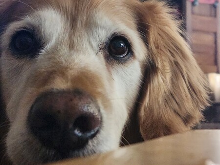Truman