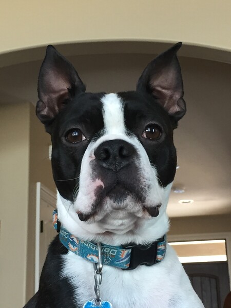 Howie