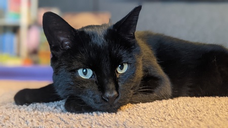 Binx