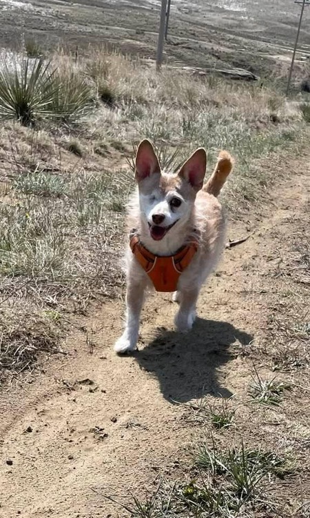 Chester