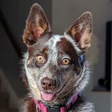 Entry image for Kira