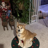 Entry image for Mika