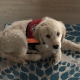 Entry image for Winnie 