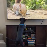 Entry image for Tucker