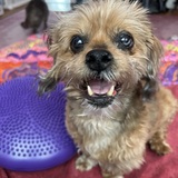 Entry image for Keyeh