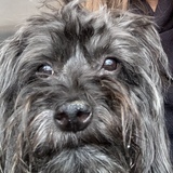 Entry image for Finnian 