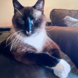 Entry image for Rebound 