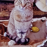 Entry image for Maddie