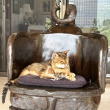 Entry image for Edie