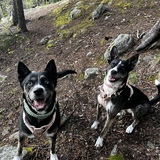 Entry image for Eloise & Finleigh